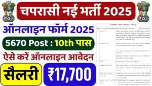 Chaprasi Bharti 2025