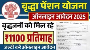 Vridha Pension Yojana 2025